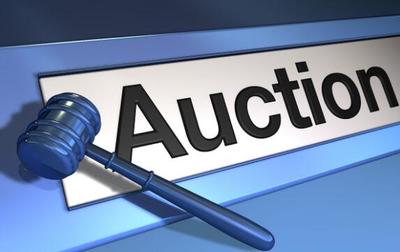 中國拍賣行業(yè) 業(yè)務(wù)轉(zhuǎn)型的機(jī)遇與挑戰(zhàn)